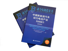 重磅！《动力电池蓝皮书（2020）》在京正式发布